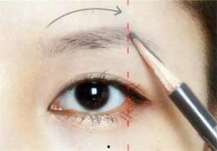 欧美人所有眉形图片